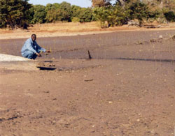 Gambia